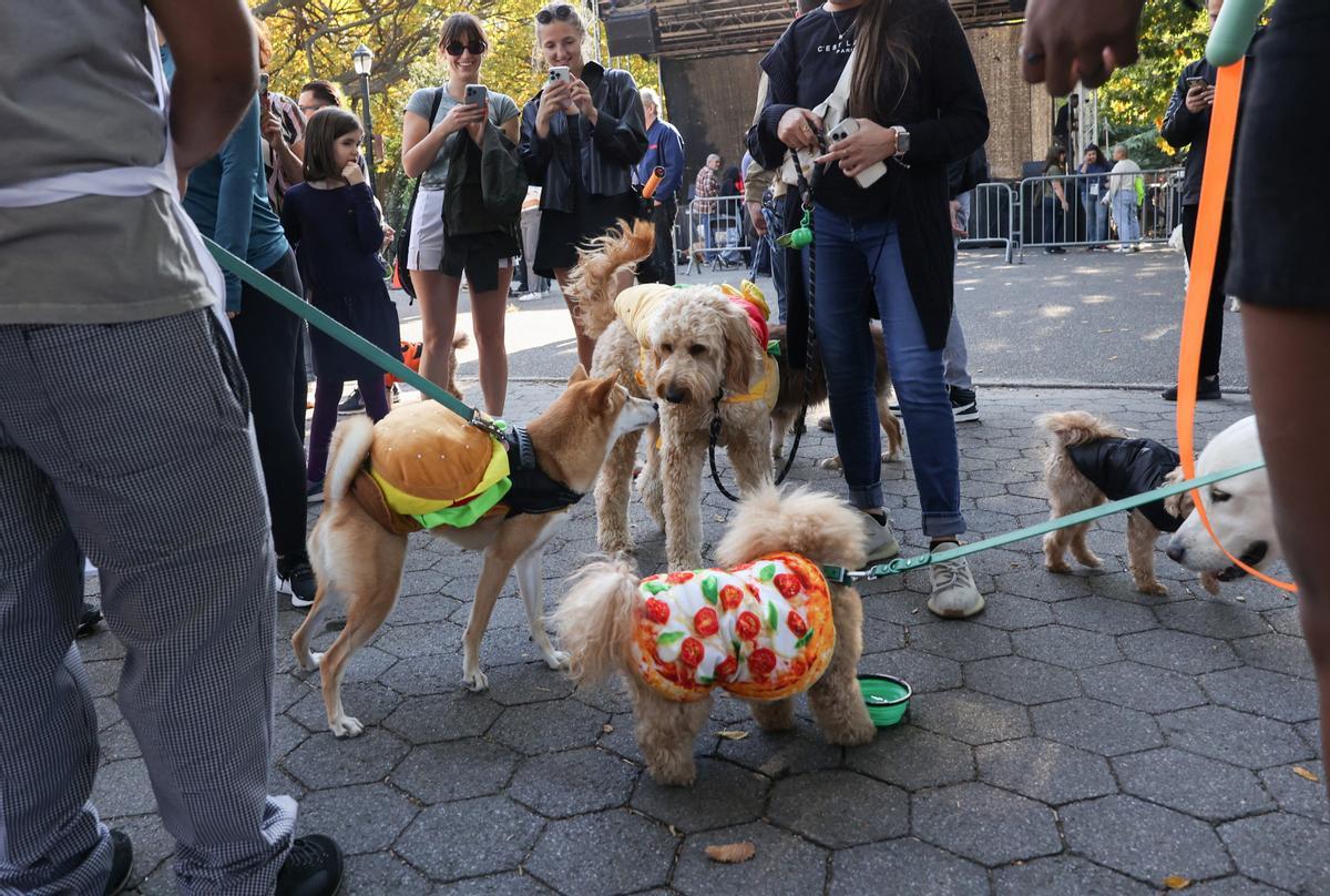 Desfile de disfraces de Halloween para perros en Nueva York