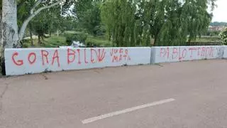 El PSOE de Zamora condena las pintadas aparecidas en varios pueblos de Aliste