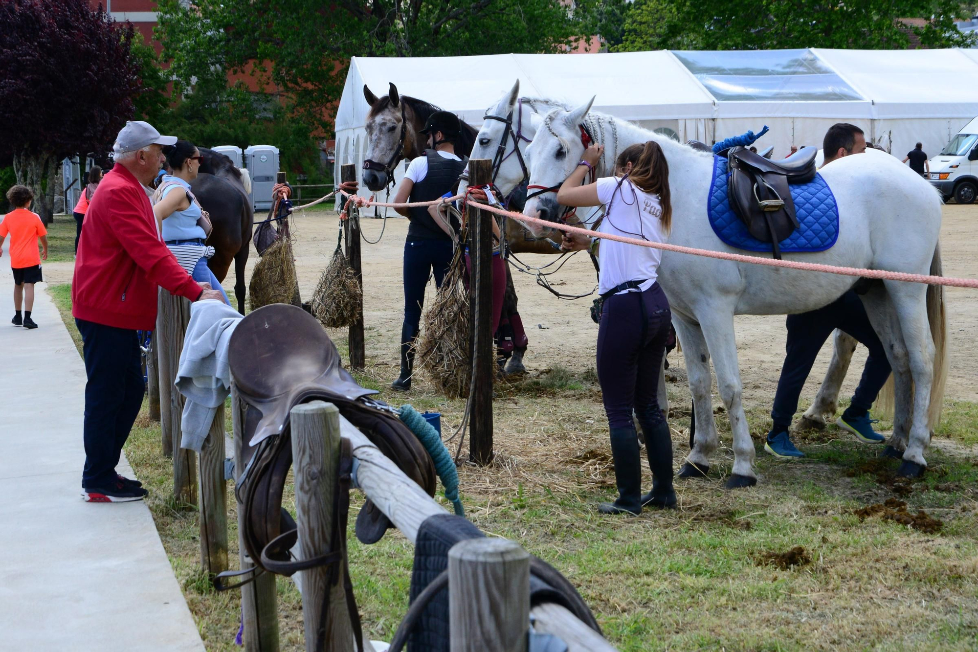 Más de 200 jinetes en la Xuntaza Cabalar de Moaña