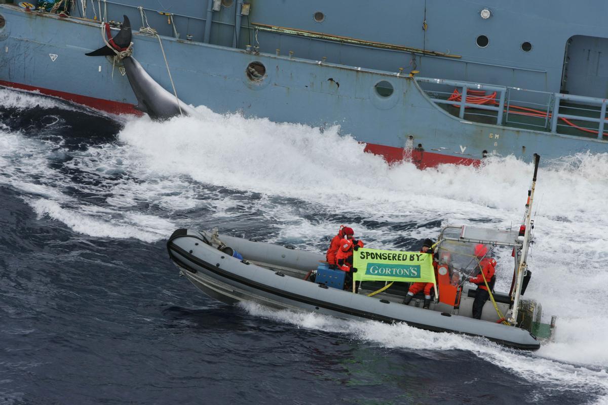 Acción de Greenpeace contra la caza de ballenas