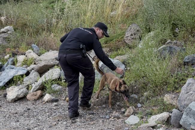 Reportaje a la Unidad Canina de la Policia ...