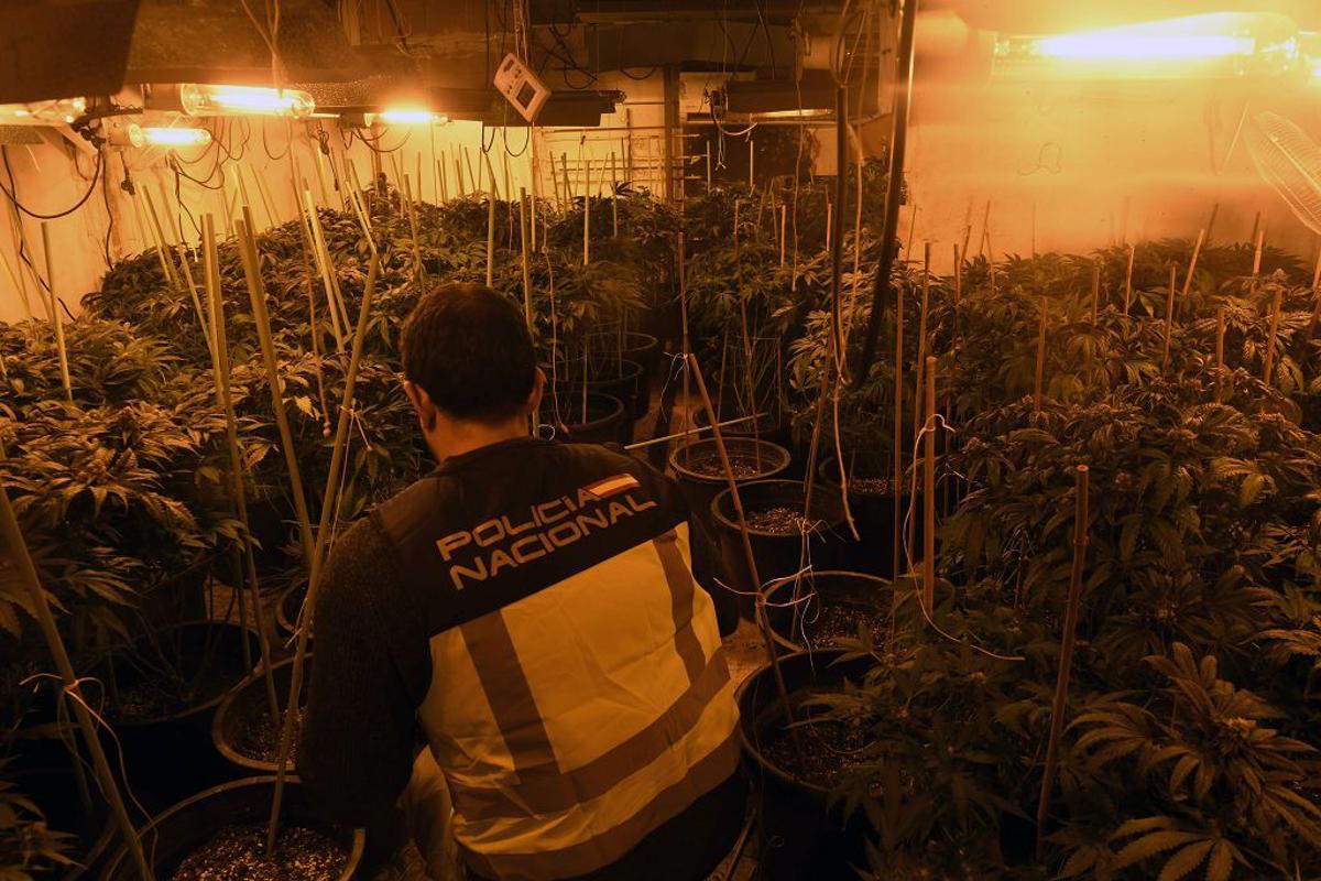 Las imágenes de la redada contra el narcotráfico en el Polígono de La Paz en Murcia Las imágenes de la redada contra el narcotráfico en el Polígono de La Paz en Murcia