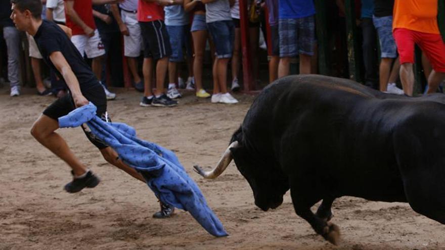 EUPV pide prohibir los toros y los aficionados lucharán por el BIC