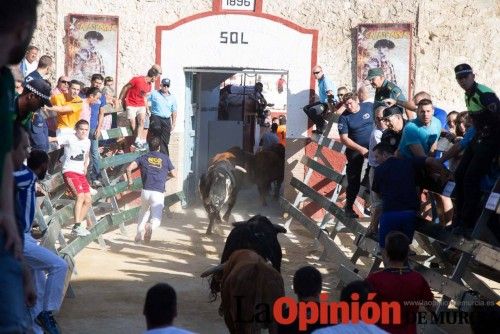 Segundo encierro de Calasparra 2014