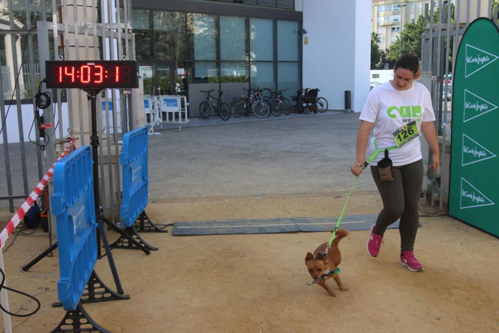 El Parque Huelin ha acogido la primera edición de un evento destinado a las mascotas y a sus dueños, con carreras en diversas categorías, actividades gratuitas y numerosos stands