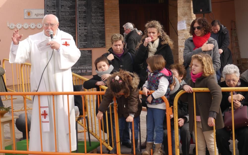 Fiesta de Sant Antoni Abad de Vera