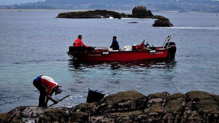 Bateeiros durante la recogida de mejilla en la costa gallega.