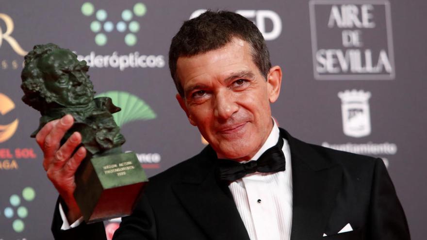 Mejor actor protagonista para Antonio Banderas por Dolor y gloria.