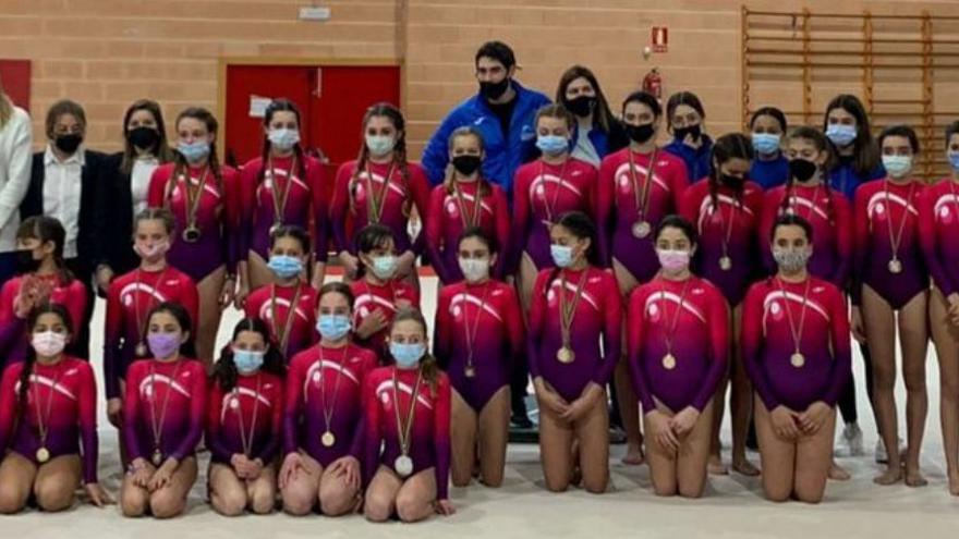 Y dos años después, volvió la gimnasia con el Educasport