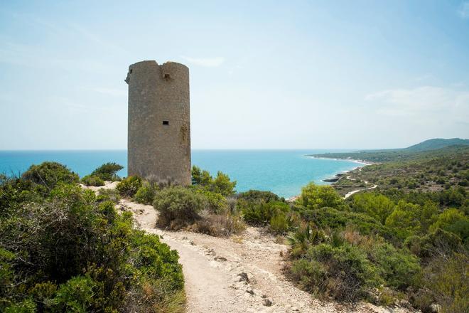 Motivos Castellón