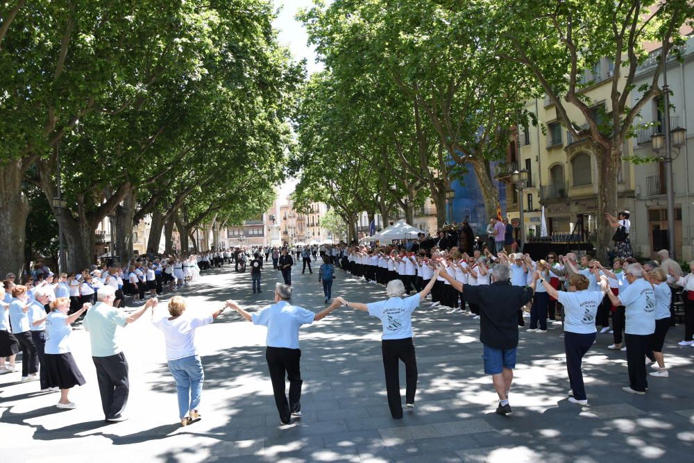 Les activitats sardanístiques mobilitzen més de 1.600 persones a Figueres