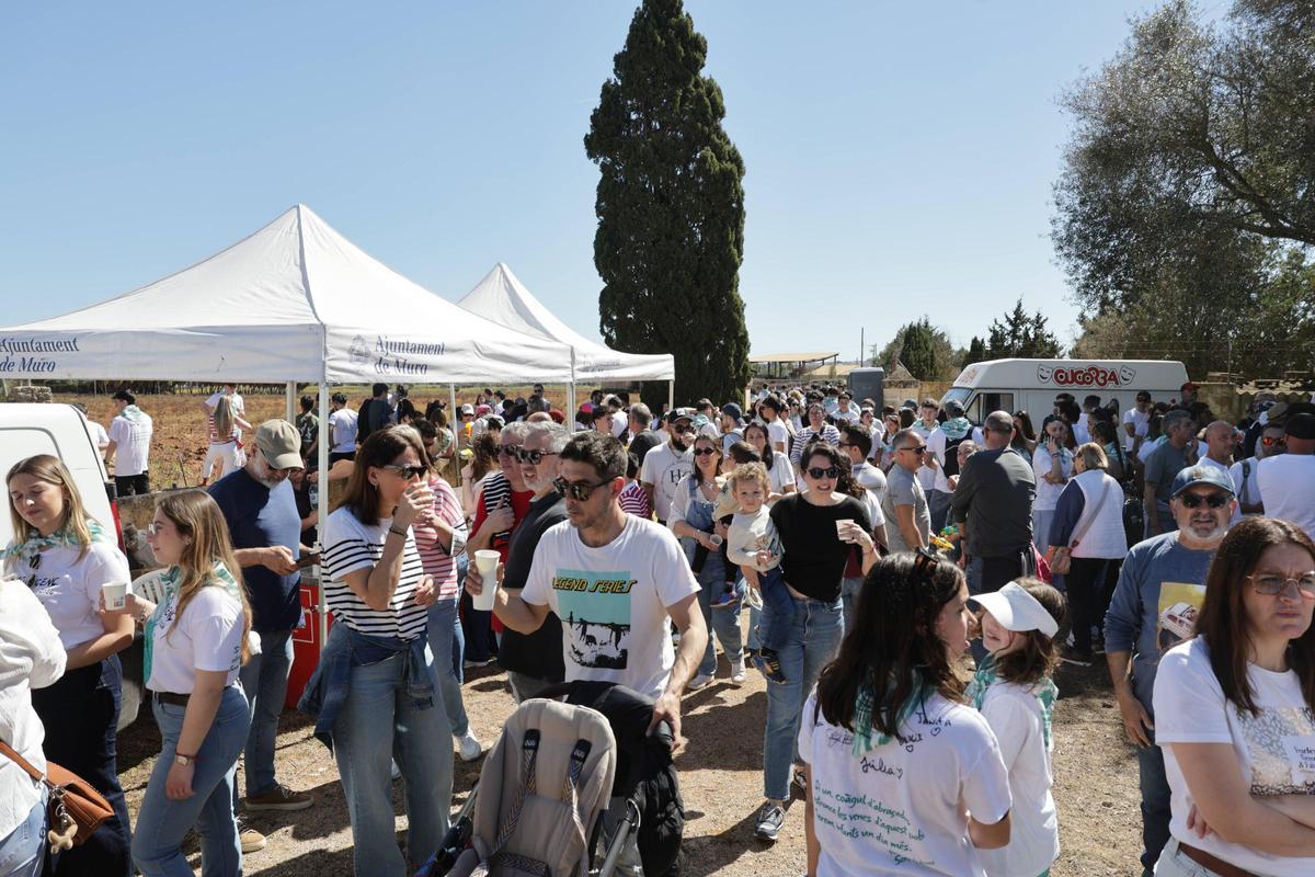 FOTOS | El Pancaritat de Muro, en imágenes FOTOS | El Pancaritat de Muro, en imágenes