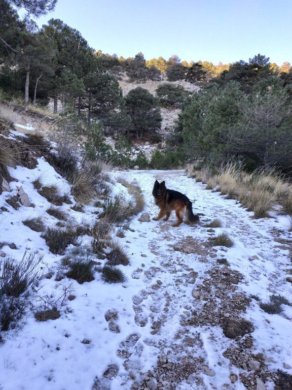 Nieve en la ruta Pico del Obispo y Revolcadores de Moratalla