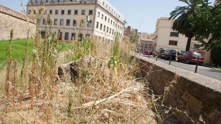 Denuncian el «vergonzoso» estado de parques y jardines