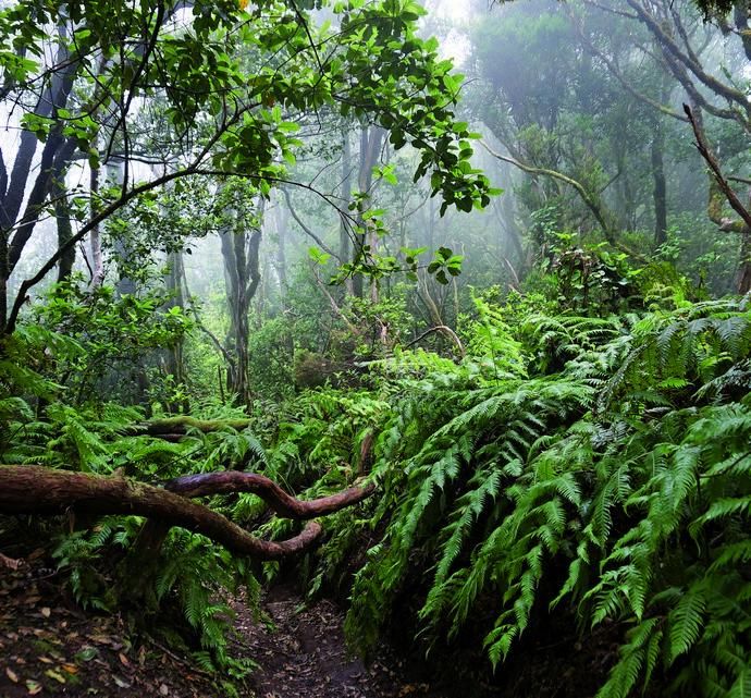 Con Estilo, Viajes: Canarias a vista de seis ojos