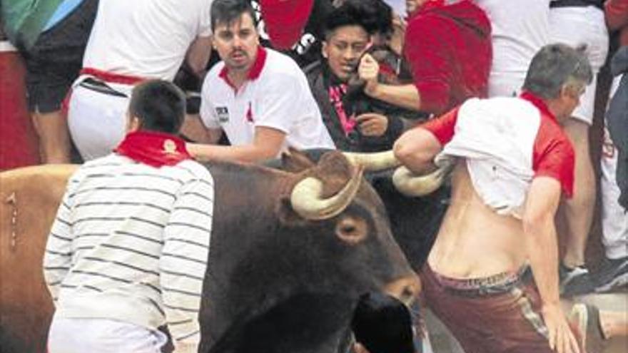 CARRERA RÁPIDA Y EMOCIONANTE DE LOS TOROS DE MIURA