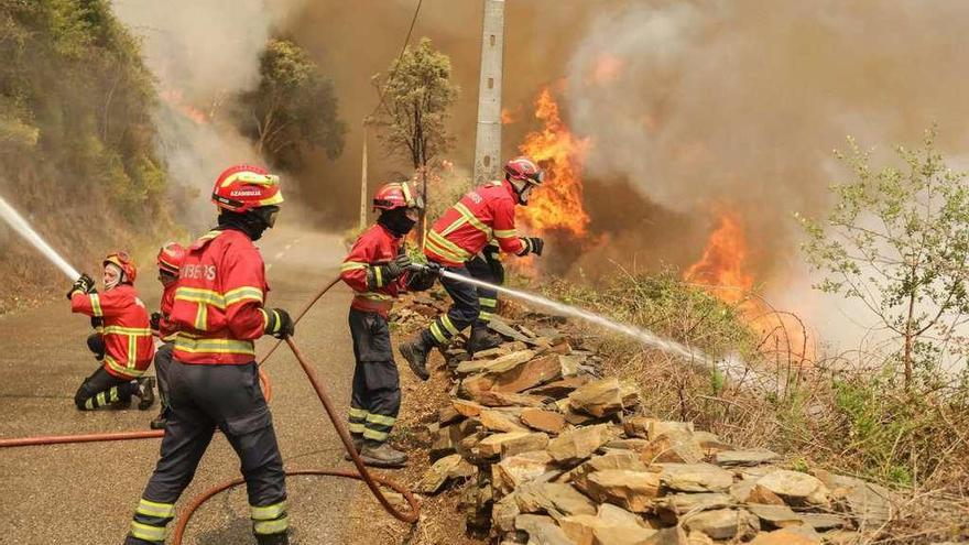 Varios bomberos intentan controlar el fuego en la localidad lusa de Sandinha.  // Efe