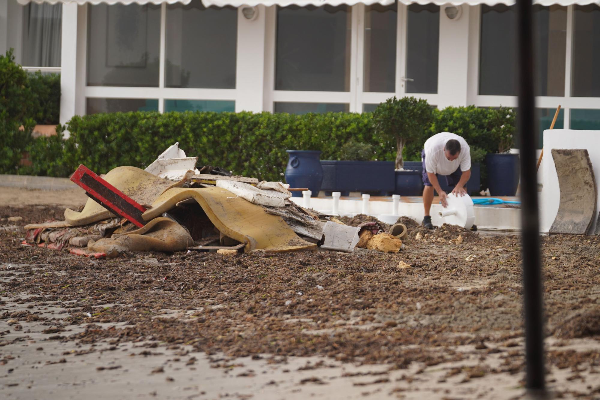 Así ha sido la jornada de limpieza de las playas de Ibiza después del temporal