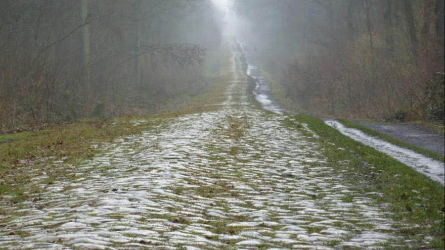Tramo de pavés del bosque de Arenberg que se hizo famoso al formar parte del recorrido de la París-Roubaix.
