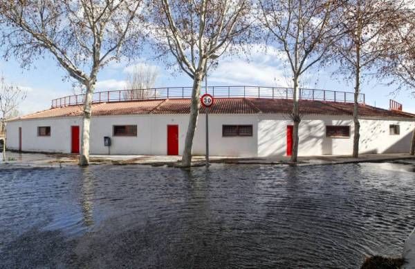 Fotogalería: La crecida del Ebro a su paso por Zaragoza