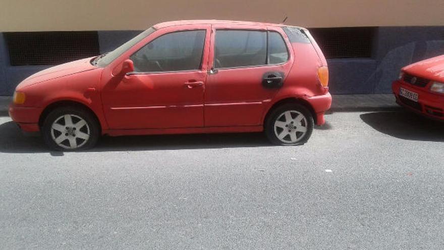 Un &#039;vecino&#039; más en las calles de La Garita