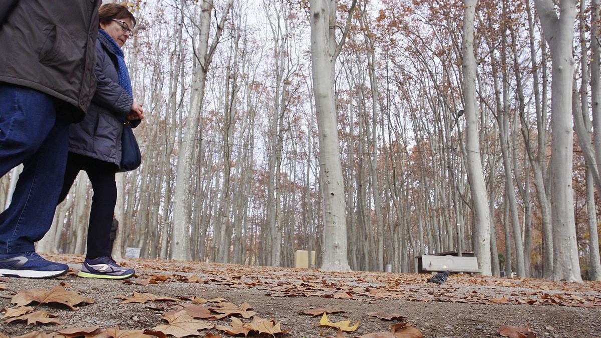 El gran parc urbà de Girona, la Devesa, es presenta com una bona oportunitat per caminar i fer exercici físic en un entorn natural. | DIARI DE GIRONA