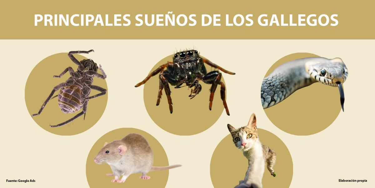 Principales aventuras oníricas de los gallegos.