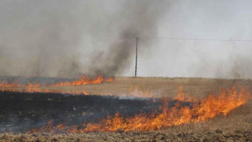 Quema controlada de rastrojos en Tierra de Campos.