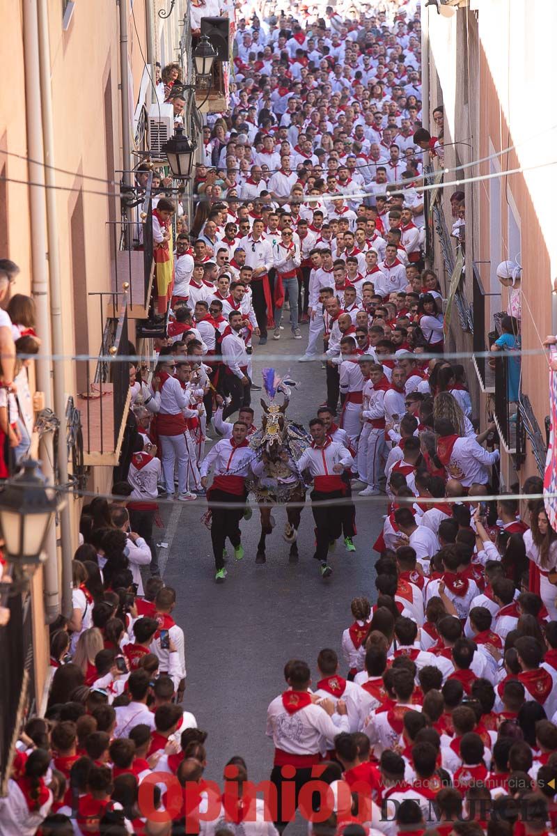 Caballos del Vino en la cuesta de la Simona