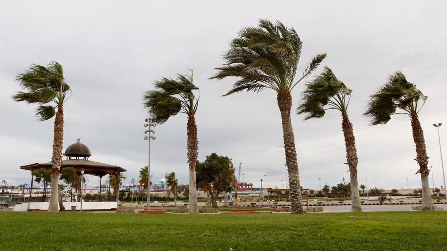 El tiempo en Valencia anuncia una subida de las temperaturas.