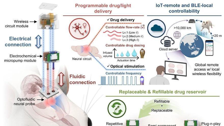 Controlan a distancia desde Estados Unidos un implante cerebral realizado en Corea del Sur