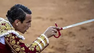 Última hora sobre el estado de salud del torero José María Manzanares tras recibir una cornada