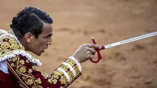 Última hora sobre el estado de salud del torero José María Manzanares tras recibir una cornada