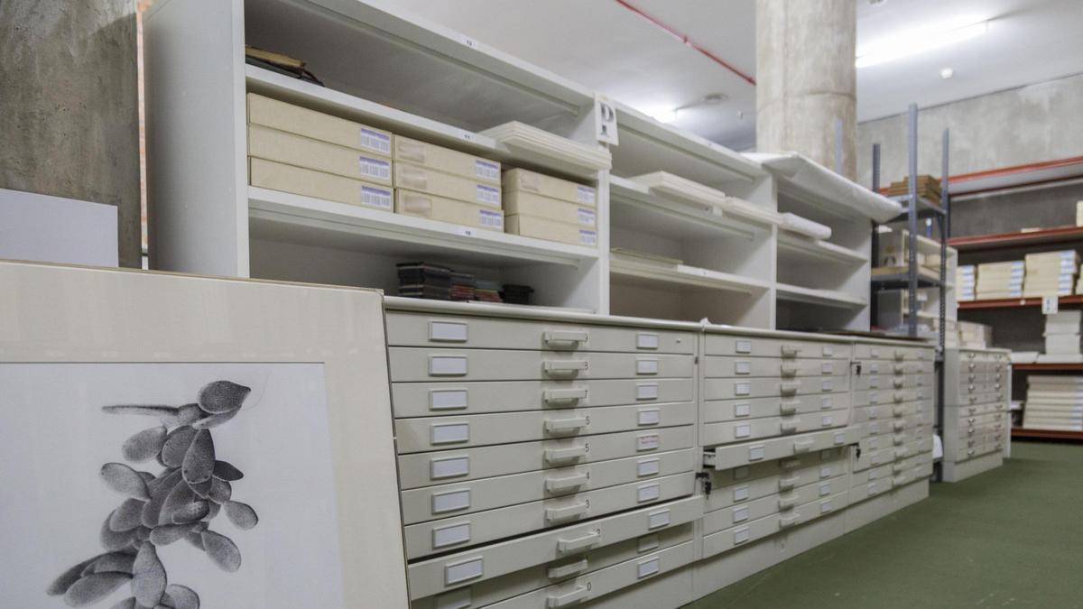 Uno de los depósitos del IVAM donde se custodian los archivos.