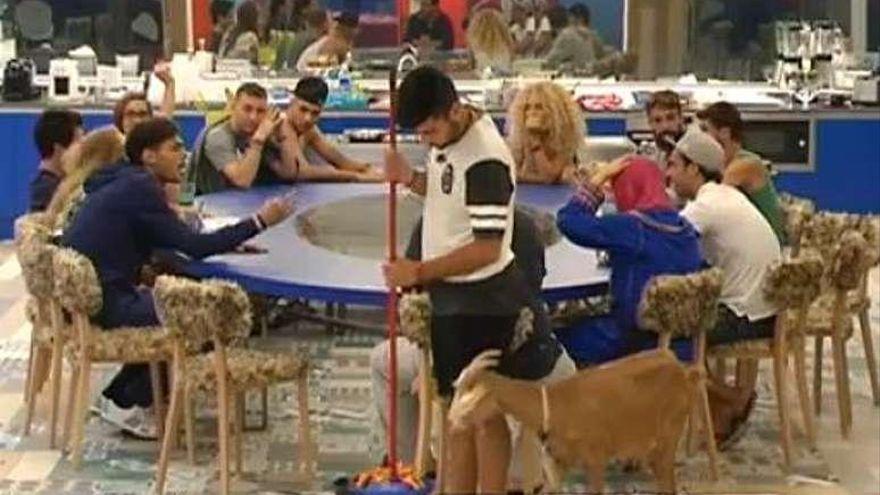 Hugo y Rubia, en Gran HErmano 15