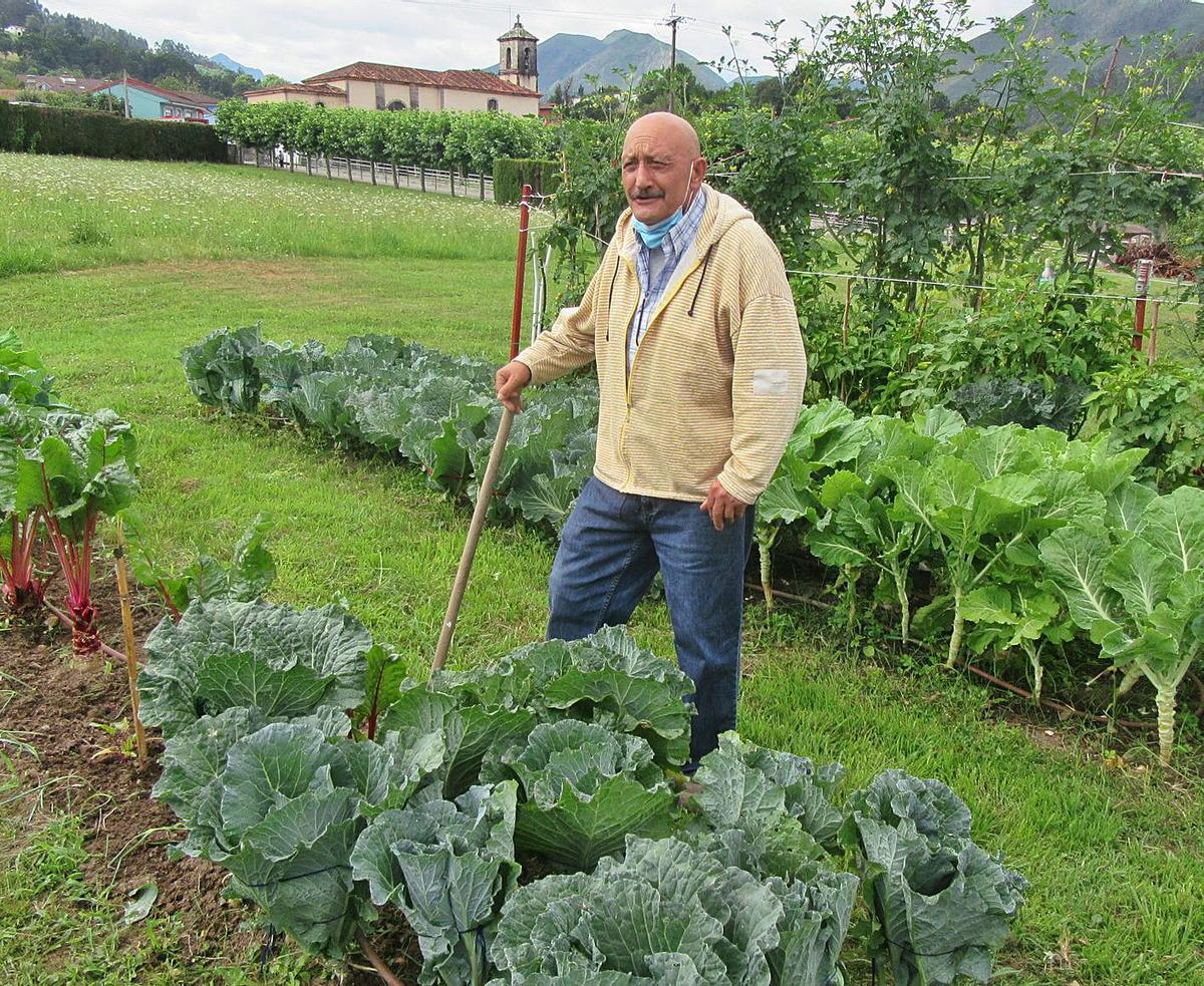 José Antonio Rodríguez, en la huerta de la residencia canguesa. |  J. M. C.