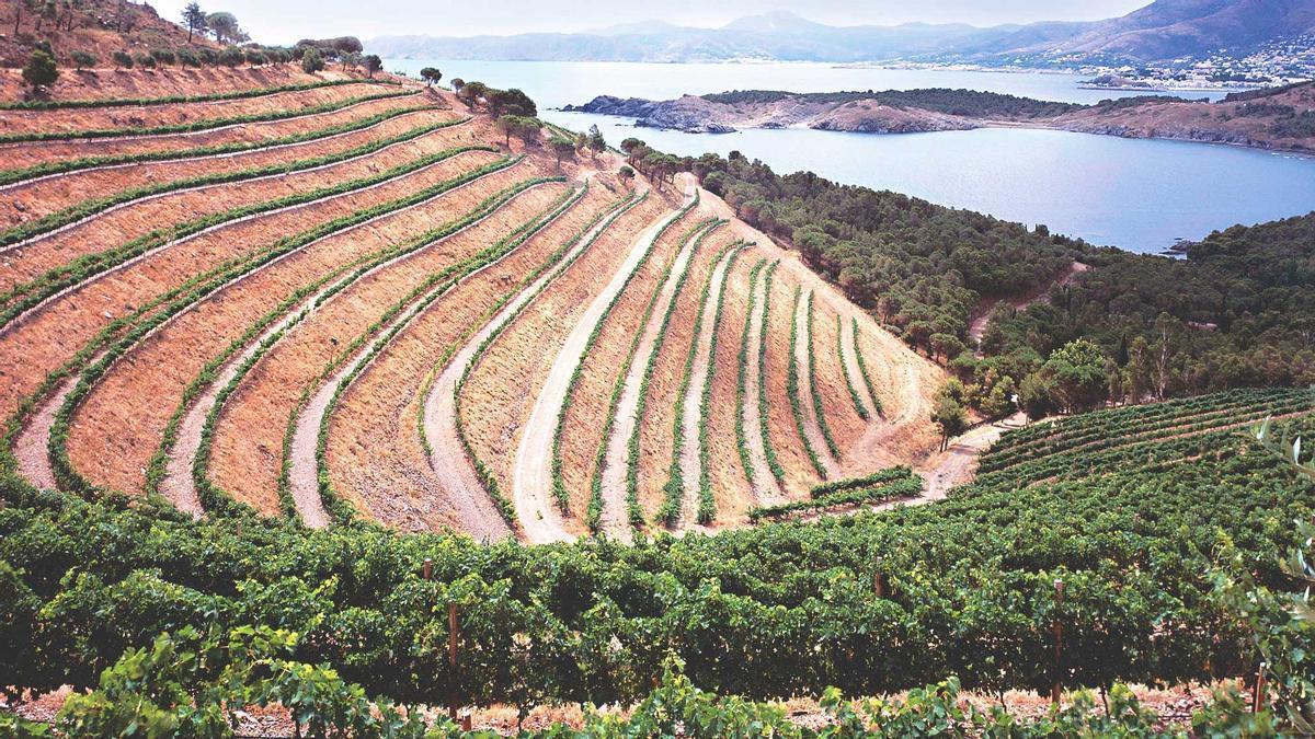 La finca Garbet on s'el·labora l'Aires de Garbet.