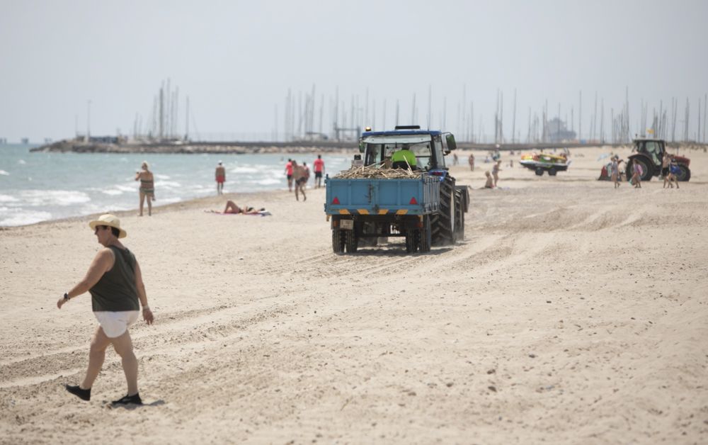 Carrera a contrareloj para tener a punto la playa de Canet d'En Berenguer