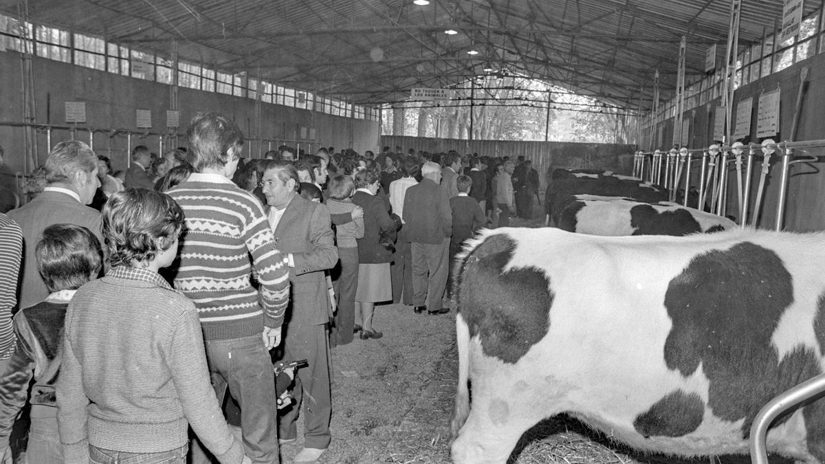 ACTIVITAT COMERCIAL: El mercat del bestiar que reunia a centenars de visitants