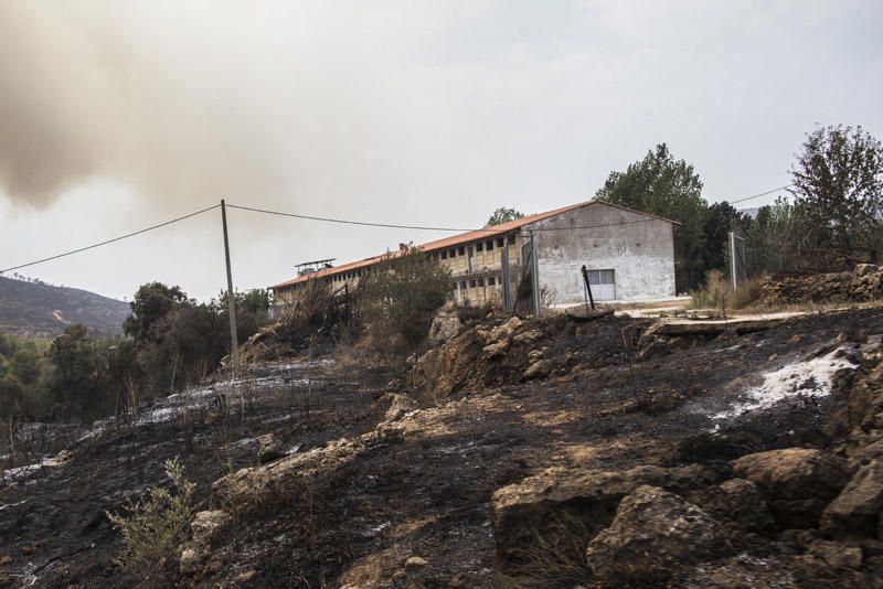 El paraje de El Surar, arrasado por el incendio