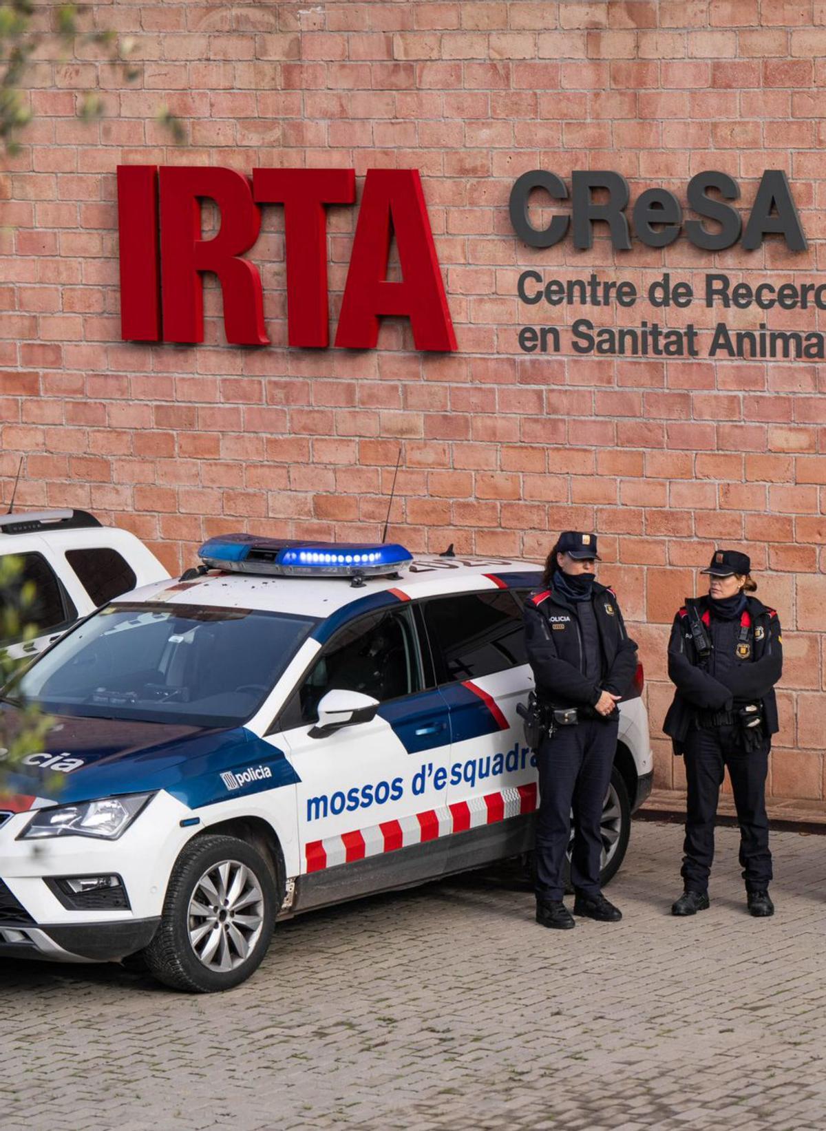 L’anàlisi de la Generalitat descarta que la pesta porcina sortís de l’IRTA