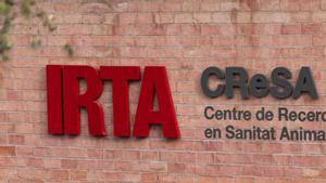 L’anàlisi de la Generalitat descarta que la pesta porcina sortís de l’IRTA