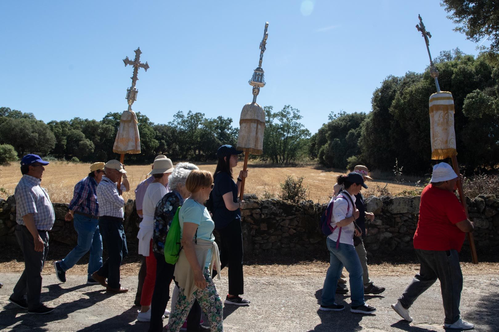 Romería de los pendones de Fariza