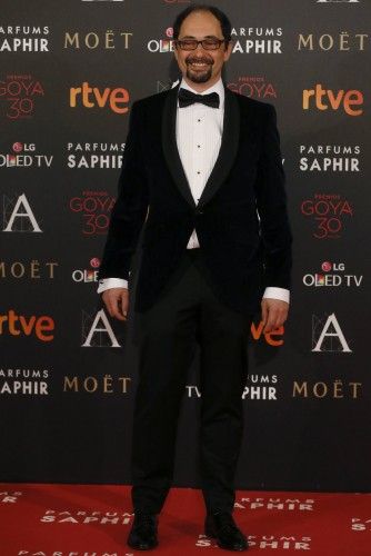 Alfombra roja Goya 2016