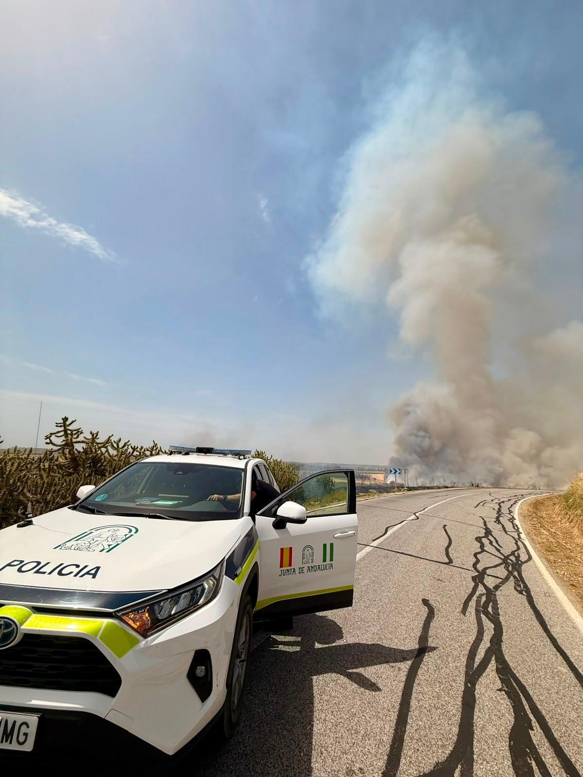 La Policía Nacional adscrita a la Junta de Andalucía ha investigado el incendio provocado en Canillas del Aceituno.