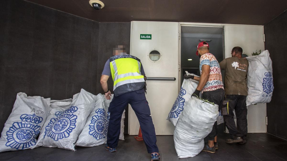 Un policía y operarios de una empresa de jardines trasladan en Alicante sacos con marihuana incautada en la operación.