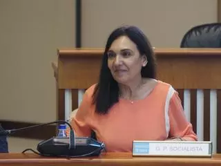 El PSdeG pide a la Xunta que haga pública la superficie total ardida y el número de brigadas municipales operativas