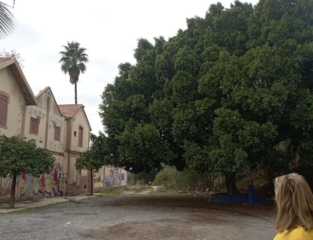 La parte trasera de la estación y su entorno, en noviembre de 2024. | A.V.