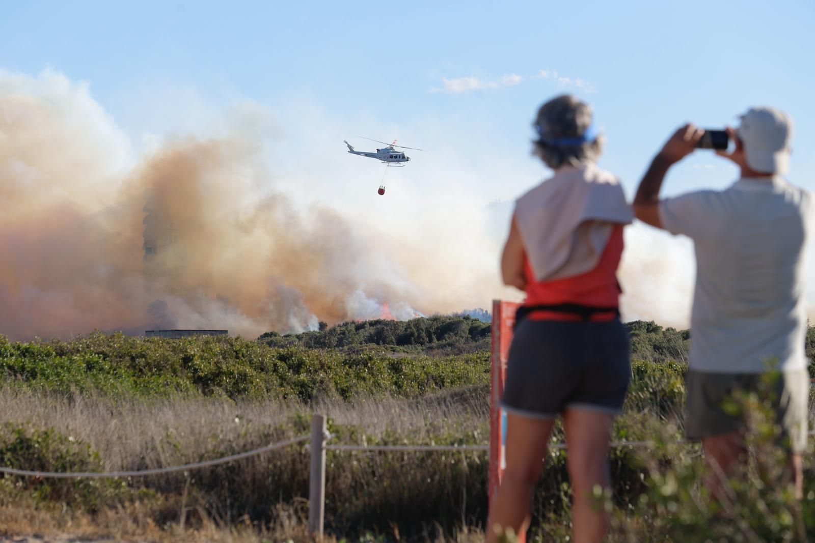 Declarado un incendio en el Saler