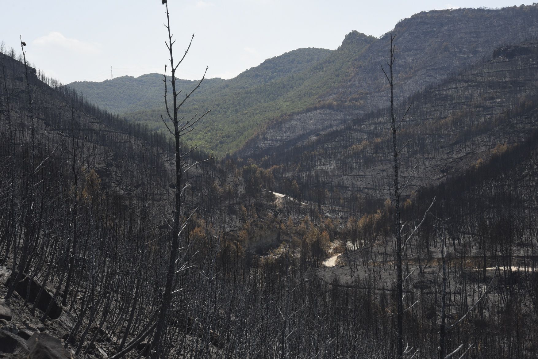 Així ha afectat el foc les tines de la Vall del Flequer